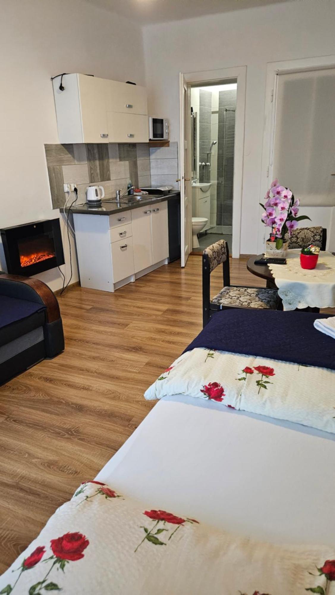 Apartament Providentia Zakopane Witkiewicza 3 Exterior foto