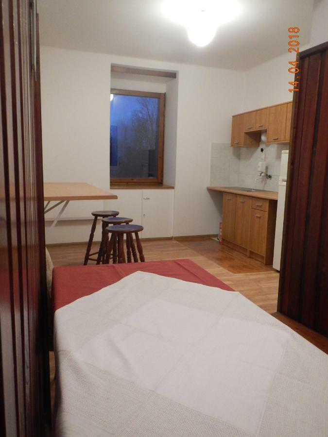Apartament Providentia Zakopane Witkiewicza 3 Exterior foto